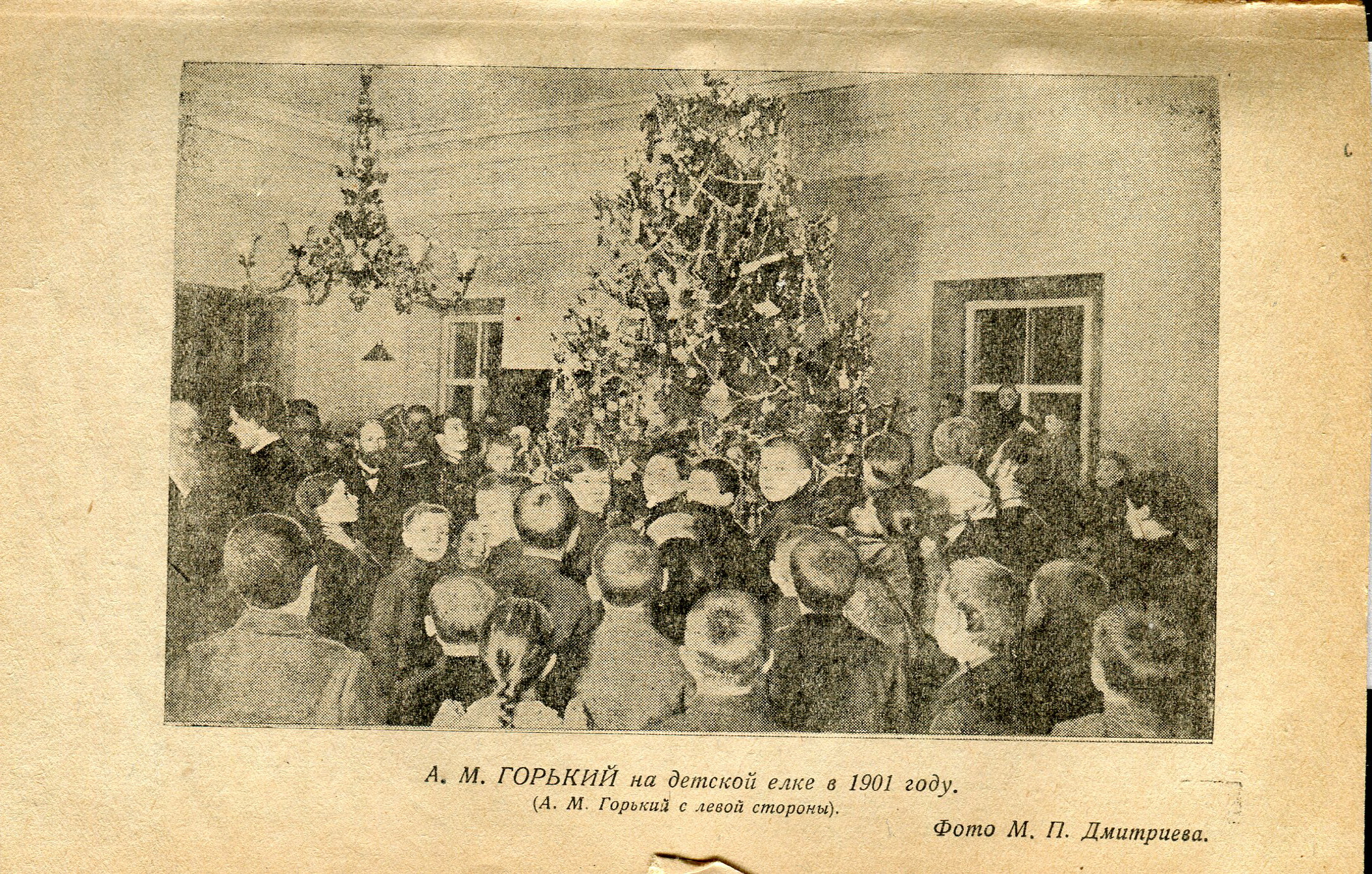 Родина рождественских елок. Горьковская елка 1900 года. Елка в Аничковом Дворце 19 век.