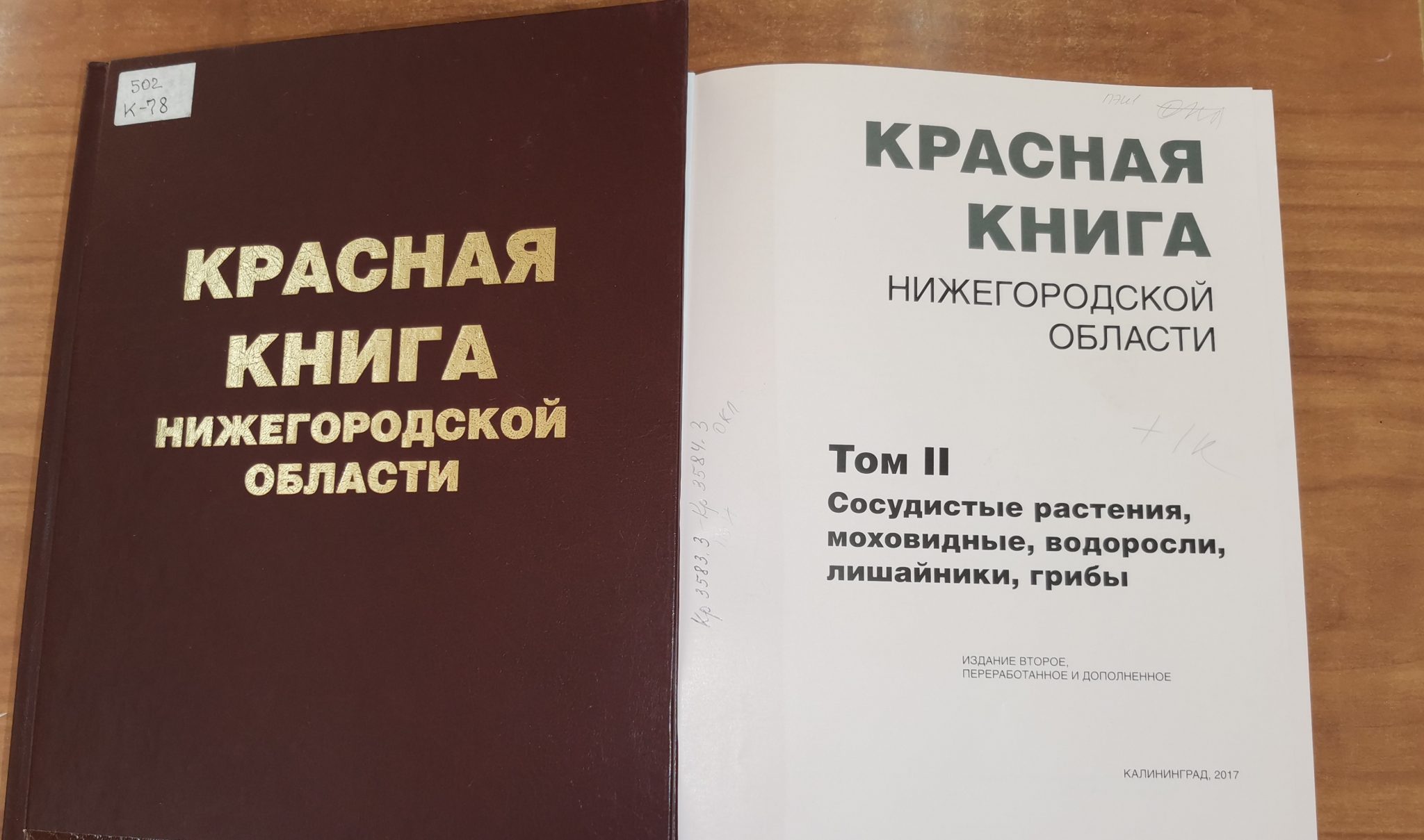 Нижегородская книга